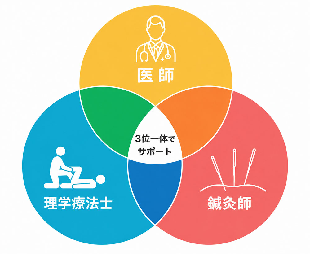 整形外科クリニックだからできる「正確な医学的評価」