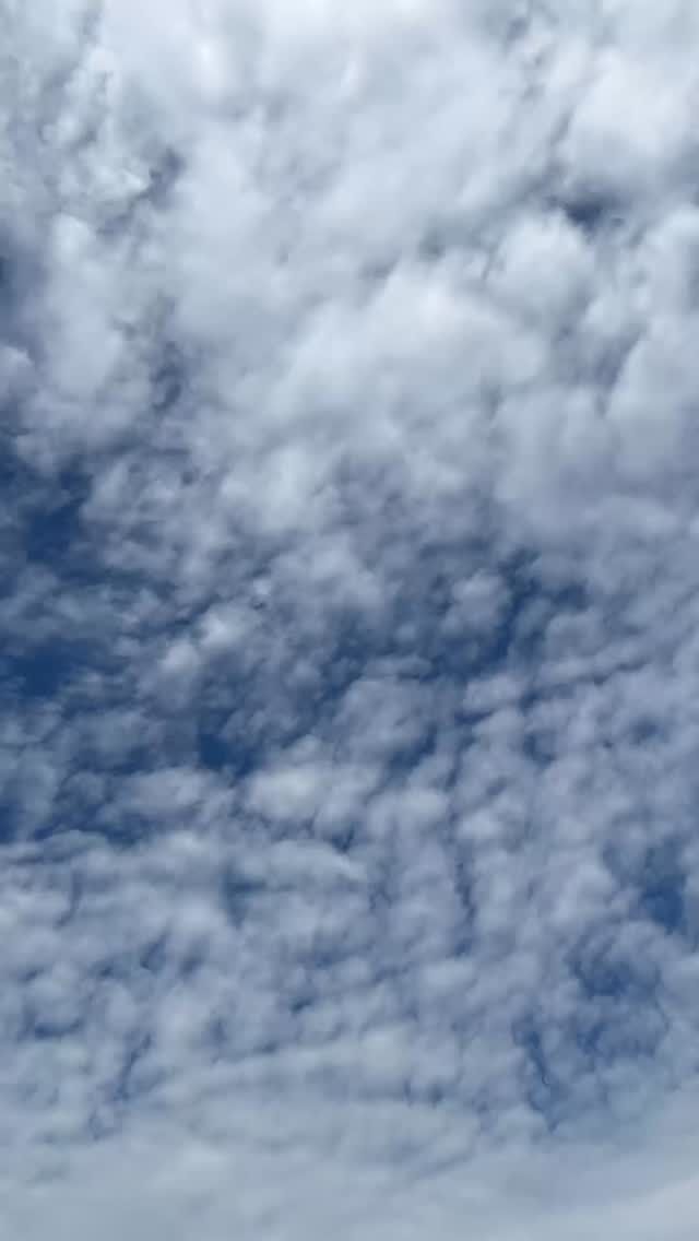 久留米のおかだ整形外科です🏥

クリニックから見える空も秋めいて参りました🌰🍂

寒くなってくるこの時期、久留米のマスコットキャラクター『くるっぱの』靴下を履いて足元から元気をチャージし皆様をお迎えしたいと思います🌱

良かったら見つけてね🙌
#久留米市 #くるっぱ #マスコットキャラクター #福岡県 #整形外科